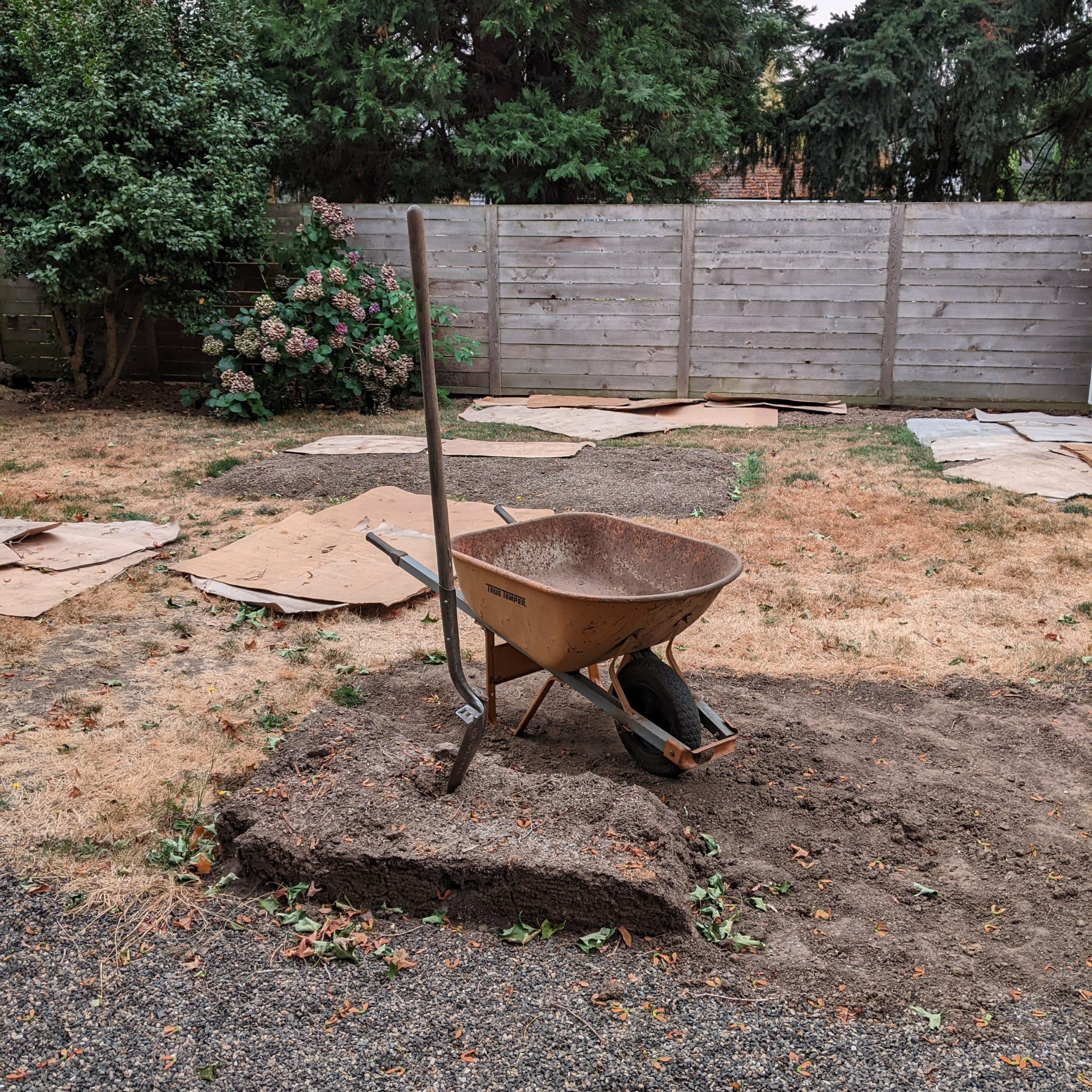 old wheel barrow with shovel in the middle of a work-in-progress yard